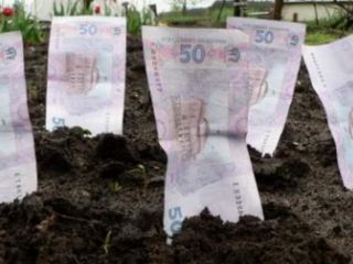 Местные бюджеты Луганщины в этом году получили более  млн грн земельного налога