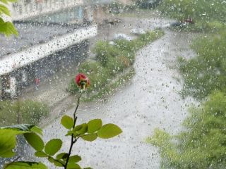 Погода в Луганске на завтра  августа дождь