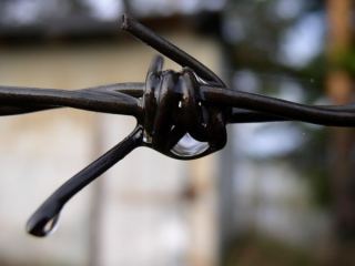 В Луганской области замначальника исправительной колонии получил взятку в  тыс грн