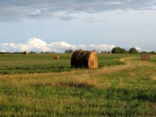 Погода в Луганске на завтра  августа температура упадет до С