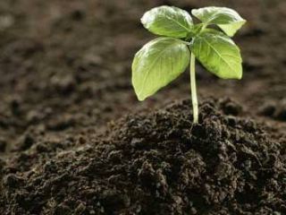 В Луганской области уже закуплено  от потребности минеральных удобрений