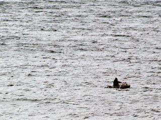 У берегов России обнаружили рыбака из Луганской области пропавшего в Бердянске