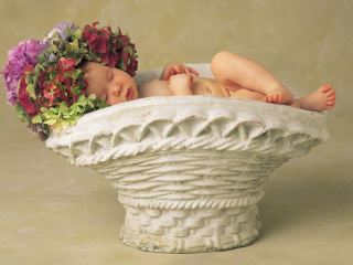 За неделю в Луганске родилось  детей