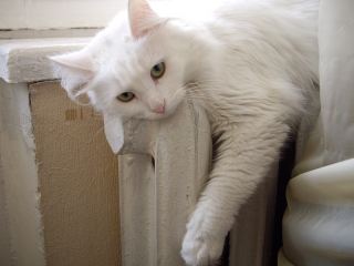 Луганская область готова к отопительному сезону на