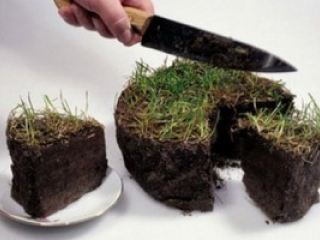 На Луганщине вынесли приговор чиновникам провернувшим крупную земельную аферу