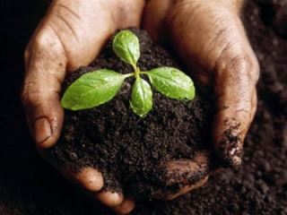 Луганские налоговики обещают сделать аграриев богаче