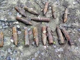 В Кременском районе нашли арсенал боеприпасов