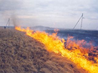 В Луганской области горел гектар сухой травы