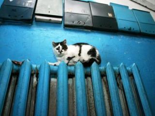 В Луганске хуже всего готовятся к отопительному сезону кооперативы и ОСМД