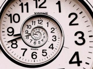 Cxidinfo  лет г  В Луганском зооуголке родился гамадрил