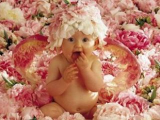 За неделю в Луганске появилось на свет  детей