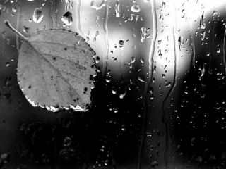 Погода в Луганске на завтра  сентября дождь