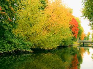 Погода в Луганске: солнечно