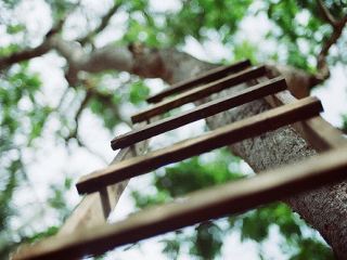 В Луганской области за сутки произошло  несчастных случая с летальным исходом