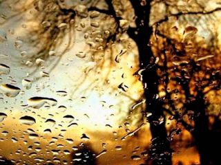 Погода в Луганске на завтра  сентября С