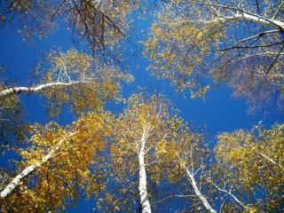 Погода в Луганске на завтра  сентября солнечно