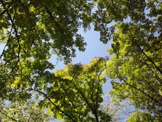 Погода в Луганске С