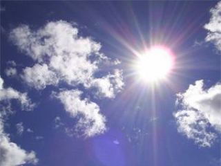 Не все запланированное удалось осуществить эти летом  Опрос Сxidinfo