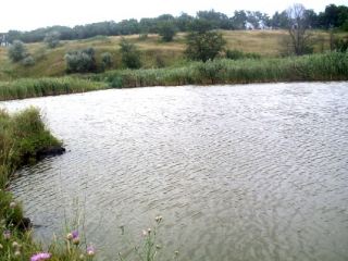 За лето луганские водолазы спасли  человека