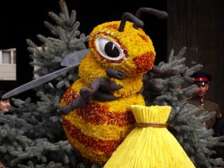 Луганск украсила выставка цветов фото