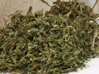 В Луганской области летний парень хранил коноплю в духовке