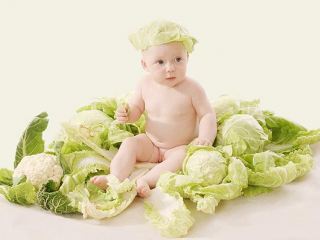 В Луганске за сутки появилось на свет  малышей