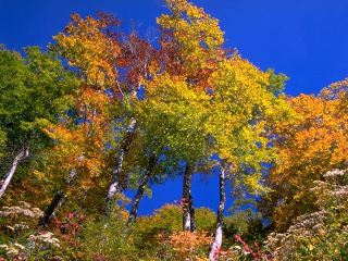 Погода в Луганске на завтра  сентября С
