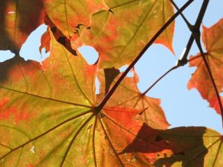 Погода в Луганске на завтра  сентября солнечно