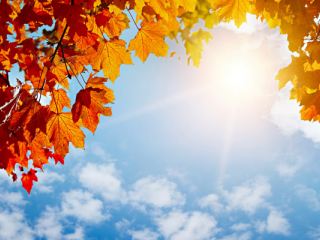 Погода в Луганске на завтра  сентября С