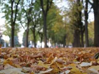 Погода в Луганске С