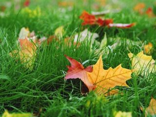 Погода в Луганске на завтра  сентября С