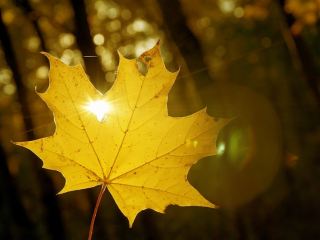 Погода в Луганске на завтра  сентября солнечно