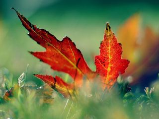 Погода в Луганске на завтра  сентября солнечно