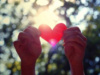 Ко Дню сердца в торговых центрах Луганска будут проводиться бесплатные осмотры