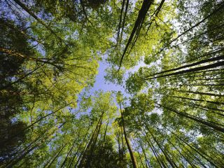 Погода в Луганске С