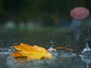 Погода в Луганске на завтра  сентября дождь