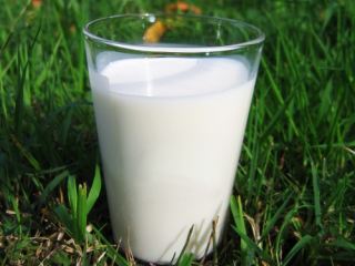 В Луганской области на  увеличилось производство молока