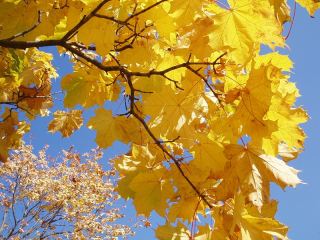 Погода в Луганске на завтра  сентября С