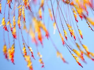 Погода в Луганске С