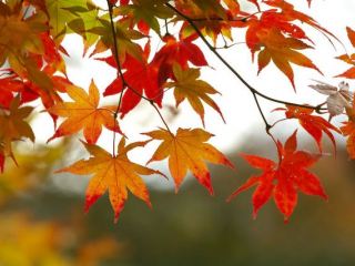 Сегодняшний день наделен необычным потенциалом