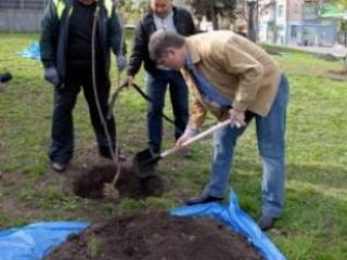 Сергей Кравченко зовет луганчан на субботник