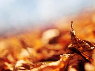 Погода в Луганске С