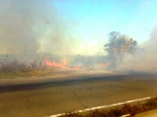 В Станично-Луганском районе возле дач горит стерня (фото)