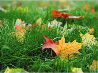 С  октября в Украине похолодает