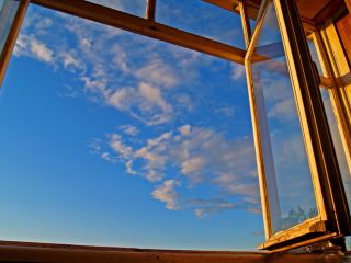 Самоубийство посвердловски выпрыгнул с го этажа и забросал себя ветками