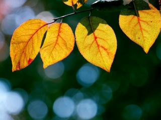 Погода в Луганске ясно