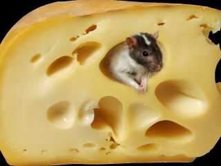 В Луганске открылся региональный учебнометодический центр ветмедицины