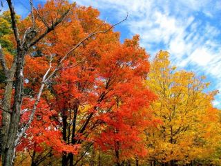 Погода в Луганске С