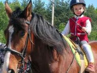 В Луганске  детейинвалидов прошли необычную терапию