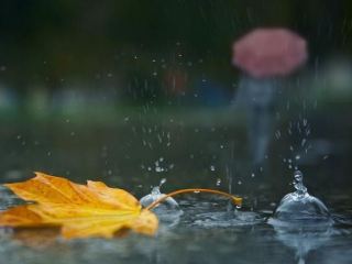 Погода в Луганске на завтра  октября дождь